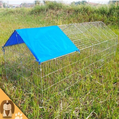 Ucuz Tavuk Kümesi Pollitos