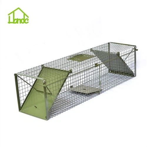 Büyük Hayvan Canlı Tilki Kafesi